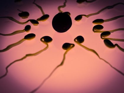 Ovodonación, una oportunidad a la infertilidad