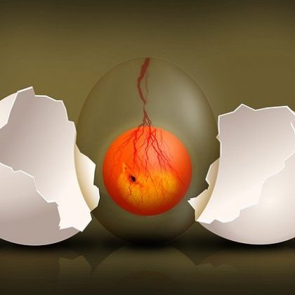 Infertilidad y transferencia en día 5