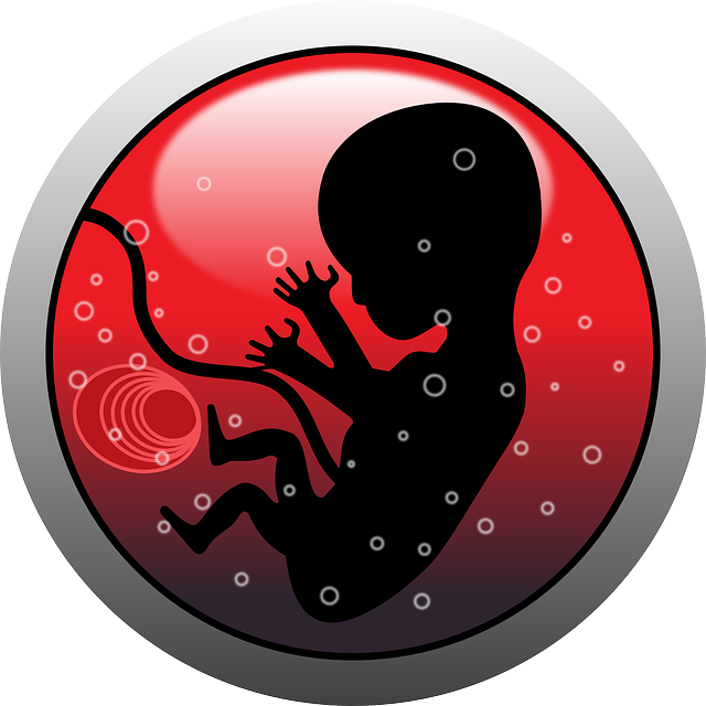 Infertilidad: implantación embrionaria