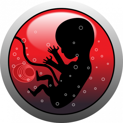 Infertilidad: implantación embrionaria