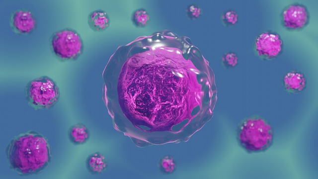 infertilidad y células madre