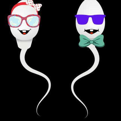 Acudir a una clínica de fertilidad para buscar embarazo